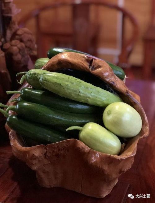 吃瓜网菜网红叫什么来着,揭秘那些让人垂涎欲滴的美食传奇